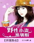 徵服遊戲：野性小妻難馴服